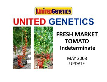 Indeterminate - United Genetics Seeds Company