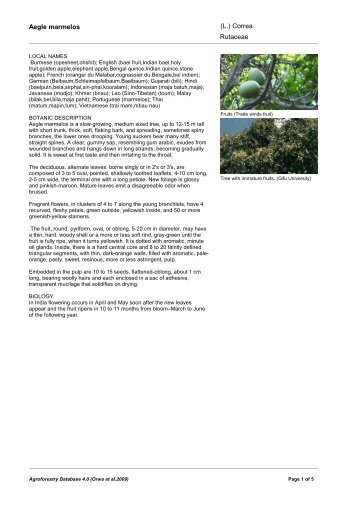 Aegle marmelos Rutaceae (L.) Correa - World Agroforestry Centre