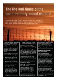 When does the northern hairy-nosed - Wildlife Protection Society of ...