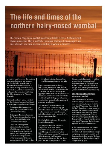 When does the northern hairy-nosed - Wildlife Protection Society of ...