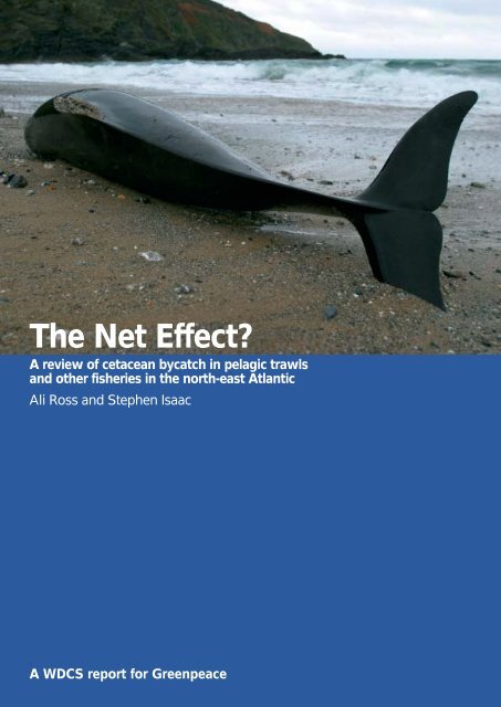 The Net Effect? - Whale and Dolphin Conservation Society