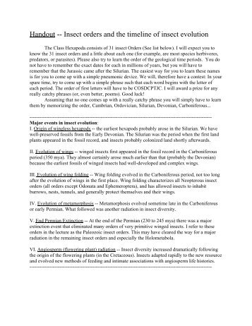 Handout -- Insect orders and the timeline of insect - courses.cit ...
