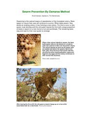 Swarm Prevention By Demaree Method - Country Rubes