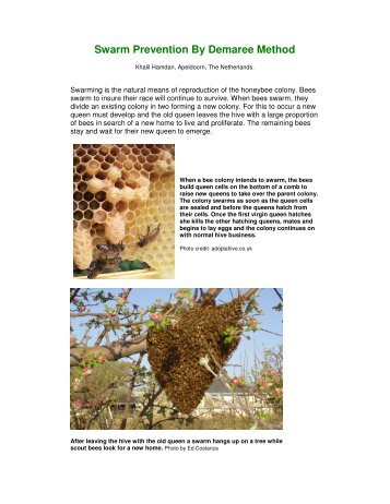 Swarm Prevention By Demaree Method - Country Rubes