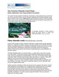 Two Common Oleander Insect Pests - Collier County Extension ...