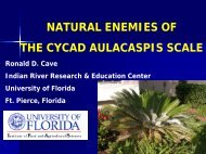 natural enemies of the cycad aulacaspis scale - Regional IPM Centers
