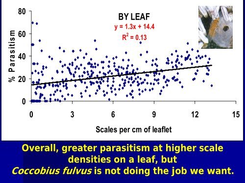 natural enemies of the cycad aulacaspis scale - Regional IPM Centers