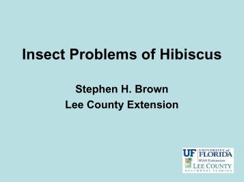 Insect Problems of Hibiscus - Lee County Extension