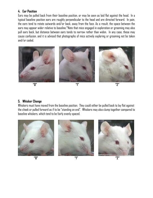 MOUSE GRIMACE SCALE (MGS): THE MANUAL