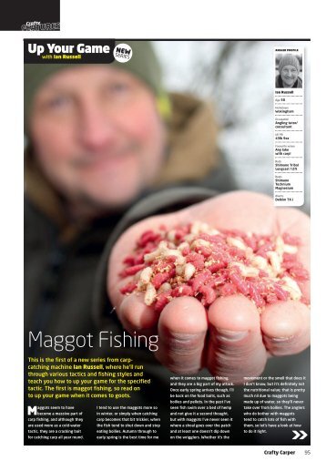Maggot Fishing - AvidCarp.com