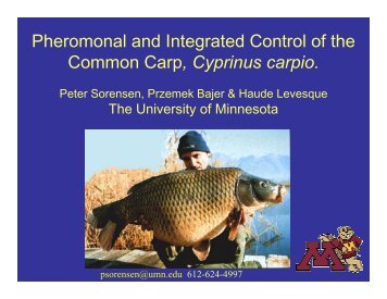 Pheromonal and Integrated Control of the Common Carp, Cyprinus ...