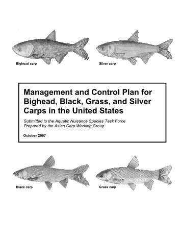 Management and Control Plan for Bighead, Black, Grass, and Silver ...