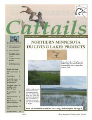 northern minnesota du living lakes projects - Ducks Unlimited