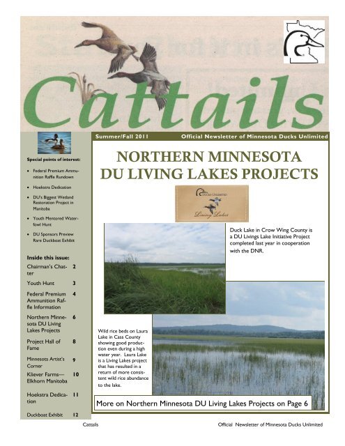 northern minnesota du living lakes projects - Ducks Unlimited