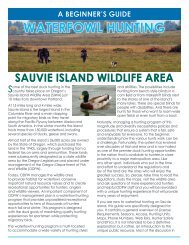 a beginner's guide waterfowl hunting sauvie island wildlife area