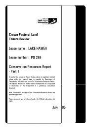 Crown Pastoral-Tenure Review-Lake Hawea-Conservation ...