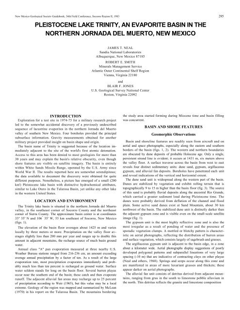 Pleistocene Lake Trinity, an evaporite basin in the - New Mexico ...