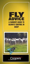 Fly Advice booklet - MSD Animal Health