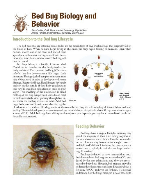 Bed Bug Biology And Behavior - Virginia Department Of Agriculture ...