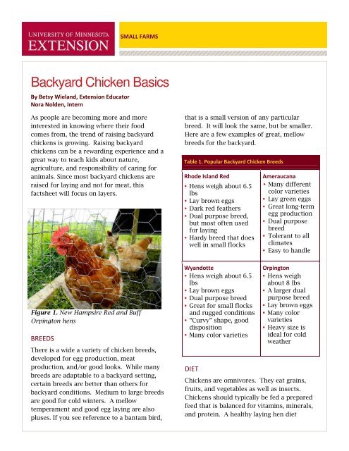 backyard chicken egg production backyard chicken egg production