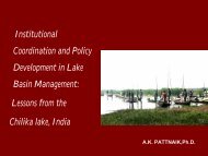 Institutional Coordination and Policy Development in Lake Basin ...