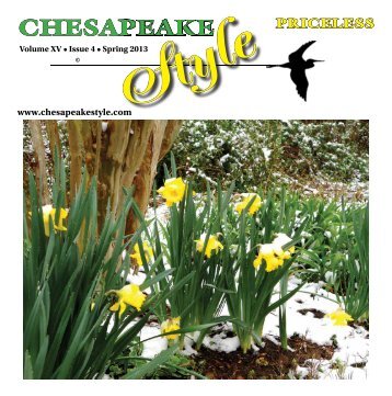 Chesapeake Style Online