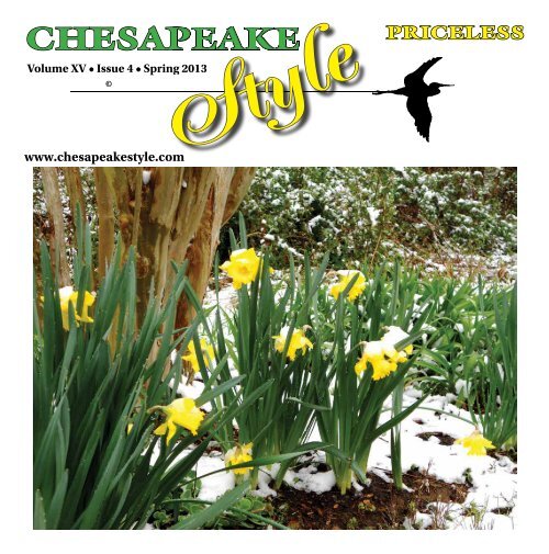 Chesapeake Style Online