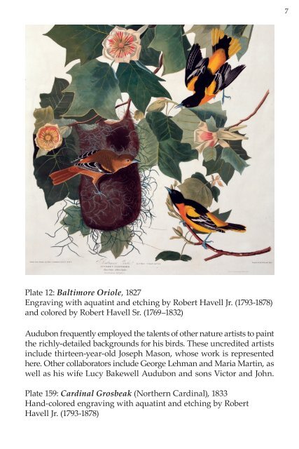 Exhibit Catalog for Audubon at Illinois - University of Illinois ...