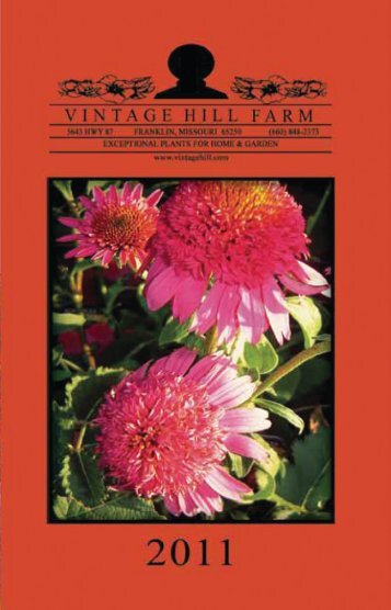 Easy To Find! - Vintage Hill Farm