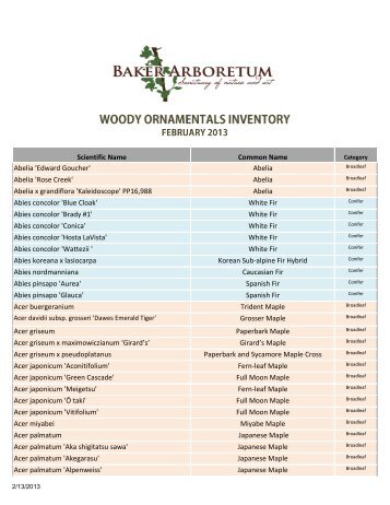 woody ornamentals: current inventory - Western Kentucky University