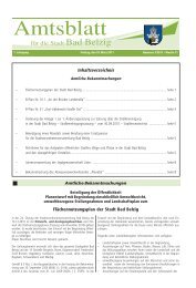Inhaltsverzeichnis Flächennutzungsplan der  Stadt Bad Belzig