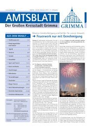 Der Großen Kreisstadt Grimma