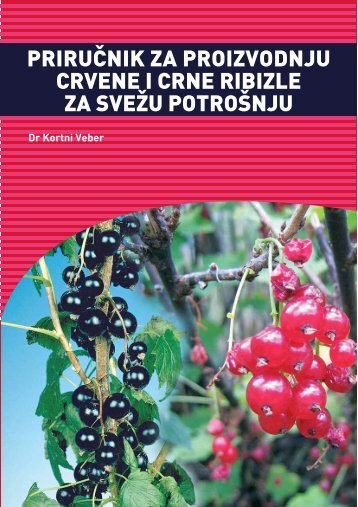 Tehnologija_proizvodnje_crvene_i_crne_ribizle