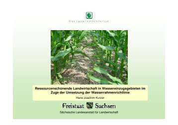 Ressourcenschonende Landwirtschaft in ... - Freistaat Sachsen