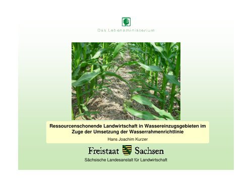 Ressourcenschonende Landwirtschaft in ... - Freistaat Sachsen
