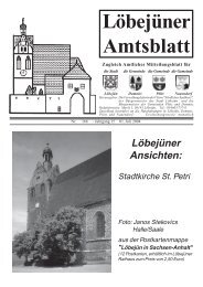 07 Amtsblatt Juli - Löbejün