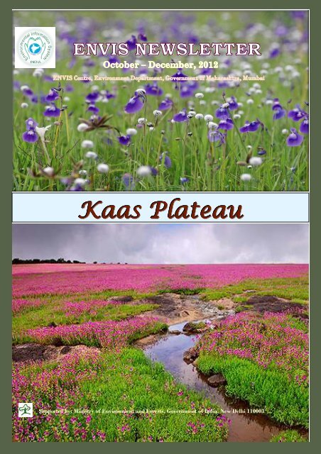Kaas Plateau - Official Website Of Dept. Of Environment, Govt. Of ...