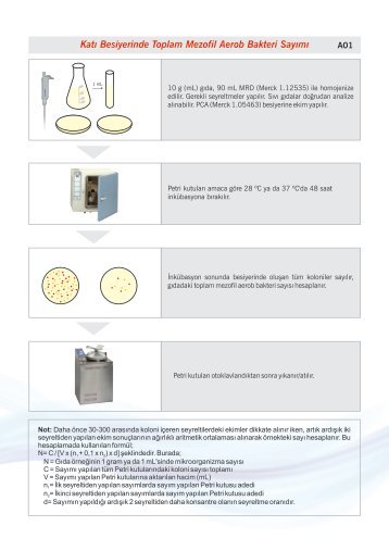 Katı Besiyerinde Toplam Mezofil Aerob Bakteri ... - mikrobiyoloji.org
