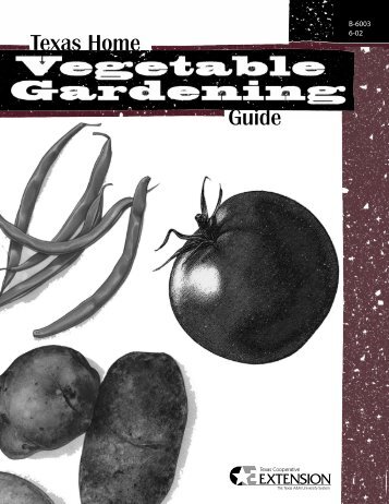 Texas Home Vegetable Gardening Guide - Grimes | Texas AgriLife ...