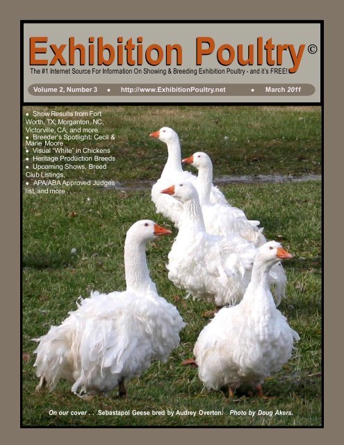 Exhibition Poultry© Exhibition Poultry
