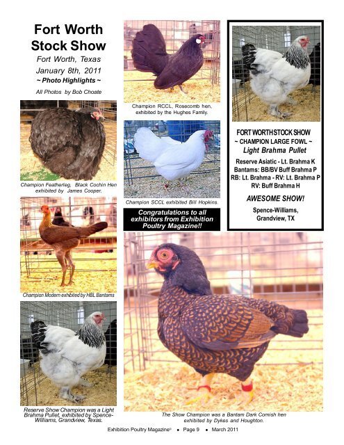 Exhibition Poultry© Exhibition Poultry