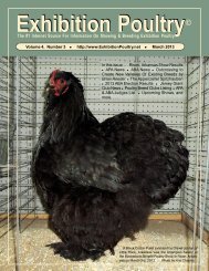 to download the March 2013 issue - Exhibition Poultry© Magazine ...