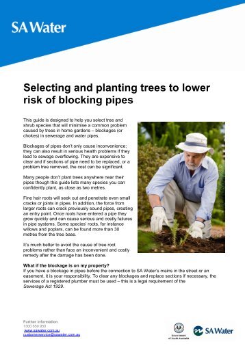 Selecting and Planting Trees to Lower Risk of - SA Water