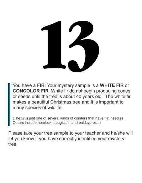 Mystery Tree Challenge - Arbor Day Foundation