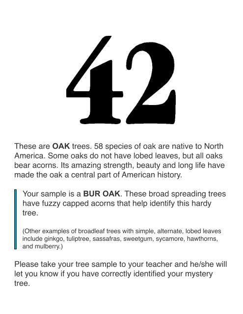 Mystery Tree Challenge - Arbor Day Foundation