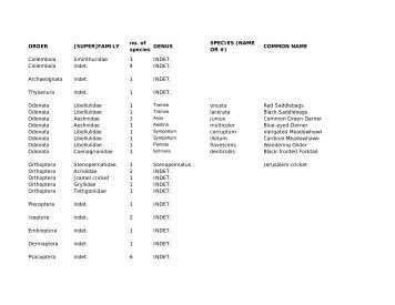 ORDER [SUPER]FAMILY no. of species GENUS SPECIES (NAME ...