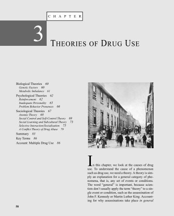 3 THEORIES OF DRUG USE