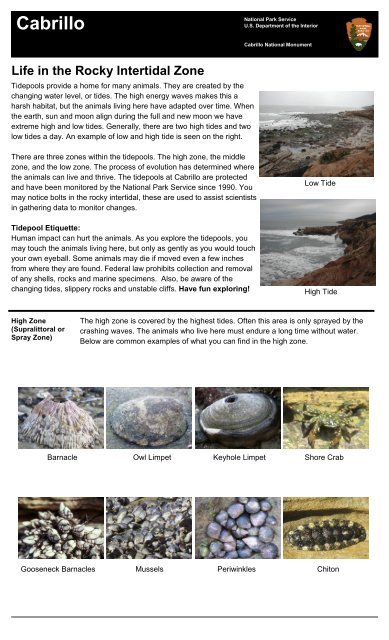 Life in the Rocky Intertidal Zone - National Park Service