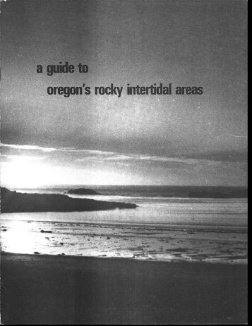 A guide to Oregon's rocky intertidal areas.pdf - ScholarsArchive at ...