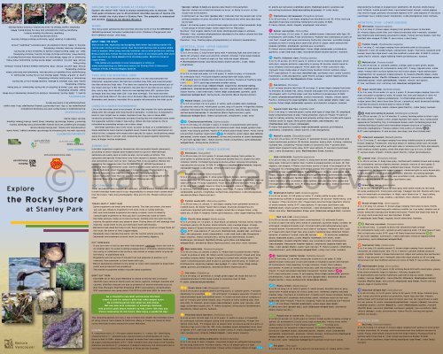 Intertidal Pamphlet - Nature Vancouver